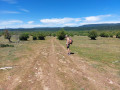 On arrive au début de la zone des paturages