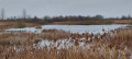 Etton to Maxey, Cambridgeshire