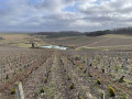 Vignes et points de vue de Baroville