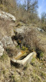 Combe de Saint-Guillem