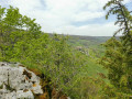 Panorama de la Table du Druide