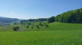 Autour de Sitzenkirch par la ruine Sausenburg et le Schloss Bürgeln