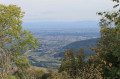 Panorama en direction de Sélestat