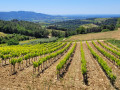 Boucle panoramique par le Bois des Abrigeaux