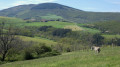 Le chemin des Chartreux au départ de Sainte-Croix-en-Jarez