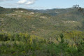 Panorama sur la vallée de l'Eyrieux