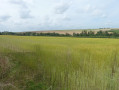 Panorama sur la vallée du Vilpion