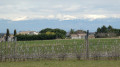 Panorama sur les Alpes