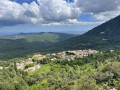 Forêt de Padula au départ de Vezzani