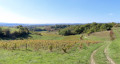 De la Vère au Saint-Hussou