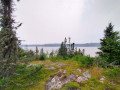 Boisé de la Falaise à Baie-Comeau
