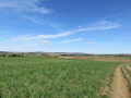 Point de vue &eacute;tendu sur la campagne