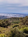 Parc à huitres sur l'étang de Thau