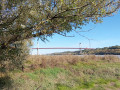 Parc de Bacalan