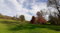 Parc de la Gironde