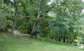 Prague, côté parcs et jardins