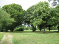 Parc du Douaire à Boissets