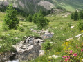 Partie inférieure du vallon de Chaufrède