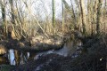 Passage à gué de la rivière Béronne