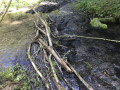 Passage à gué du ruisseau de Gros-Fays