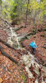 Passage d'un petit gué dans la forêt de Cernix