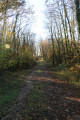 Passage dans un bois