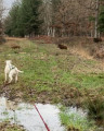 De Quiers-sur-Bezonde à Nesploy puis Boiscommun par la forêt