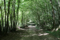 Passage du ru au niveau de l'étang de la Caquignolle