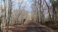 Passage en sous bois