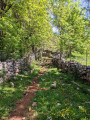 Passage entre les murets