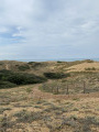 Passage par les dunes