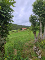 passage pour voir entre les arbres