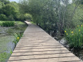 Passerelle dans le bois de Coët Roz