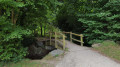 Passerelle dans le bois de Lossulien