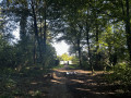 Passerelle de la Petite Ill