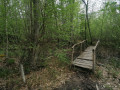 Passerelle des boid