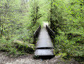 Passerelle du Grosdar