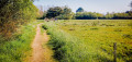 Polder et Plage de Kermor à Combrit