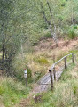 Passerelle en zone humide