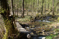 Passerelle et ruisseau