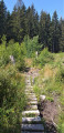 Passerelle rudimentaire