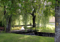 Passerelle sur le ruisseau du Rhin