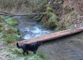 Boucle du Moulin de Goule