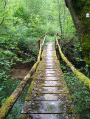 Passerelle sur le Salon