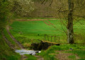 Petit pont de bois