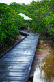 La Mangrove de Ouemo depuis le centre ville de Nouméa