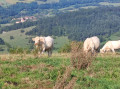 Le Mont Myon et la Chapelle de Montfort depuis Pressiat