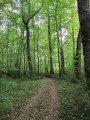 Sentier naturel près du point de départ