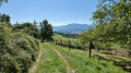 Paysage à la descente