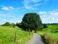 Soiron naturellement entre Olne et Lambermont